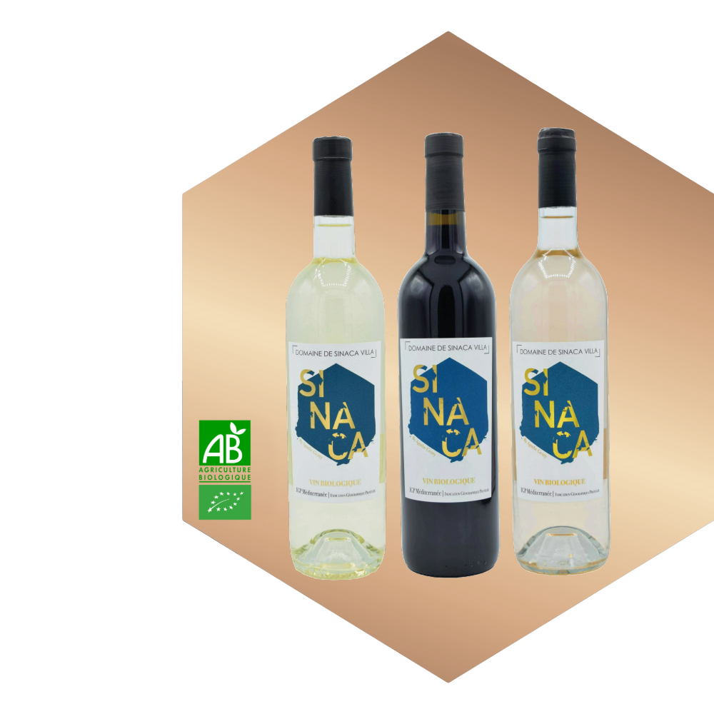 Trio SINACA